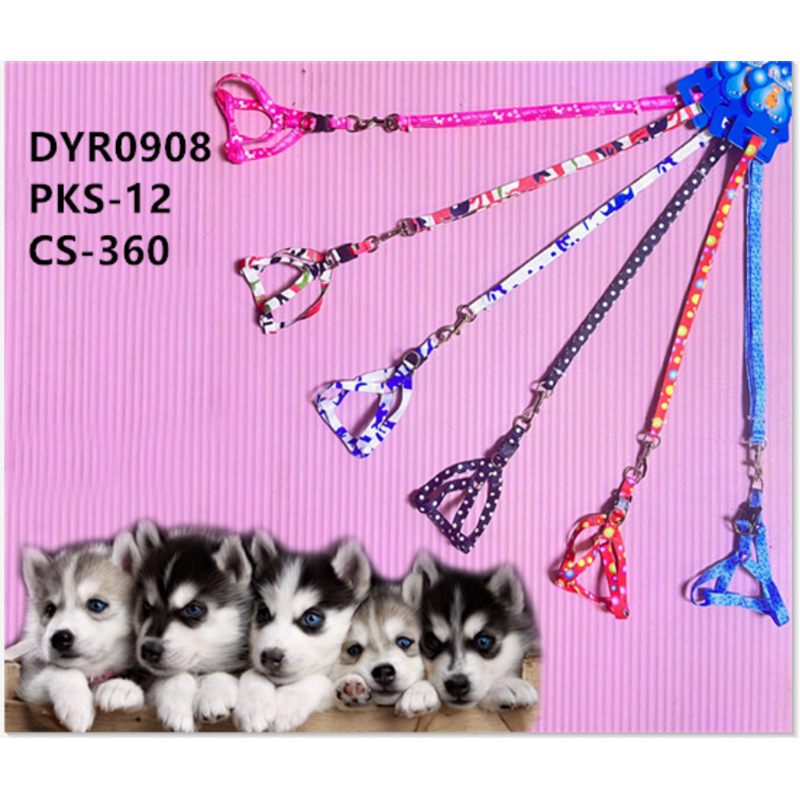 DYR0908
